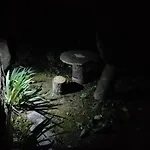 Lagar Da Silveira *