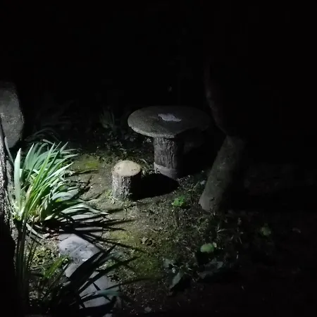Lagar Da Silveira *