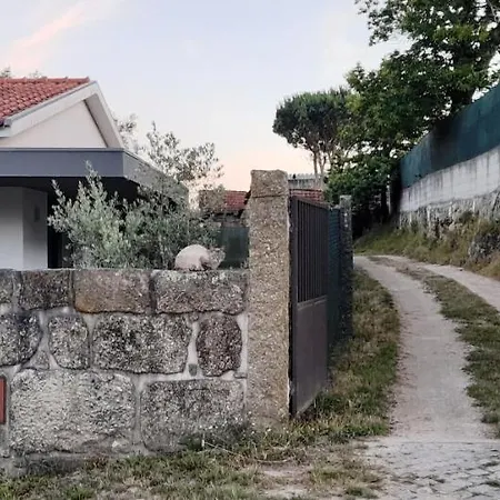 Lagar Da Silveira بينافيل